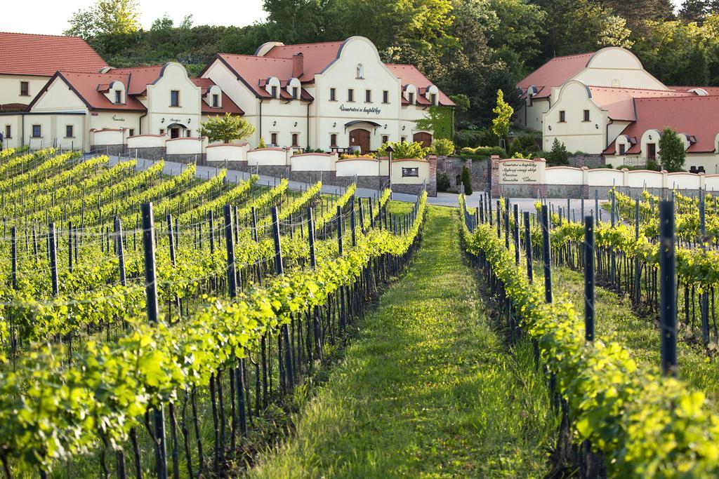 Vinarstvi U Kaplicky Hotel Zaječí Exterior foto