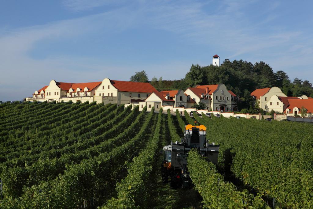 Vinarstvi U Kaplicky Hotel Zaječí Exterior foto